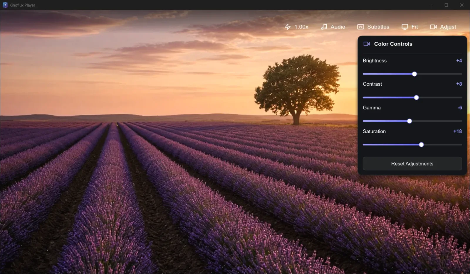 KinoFlux Player picture and audio adjustment panel beside the video.