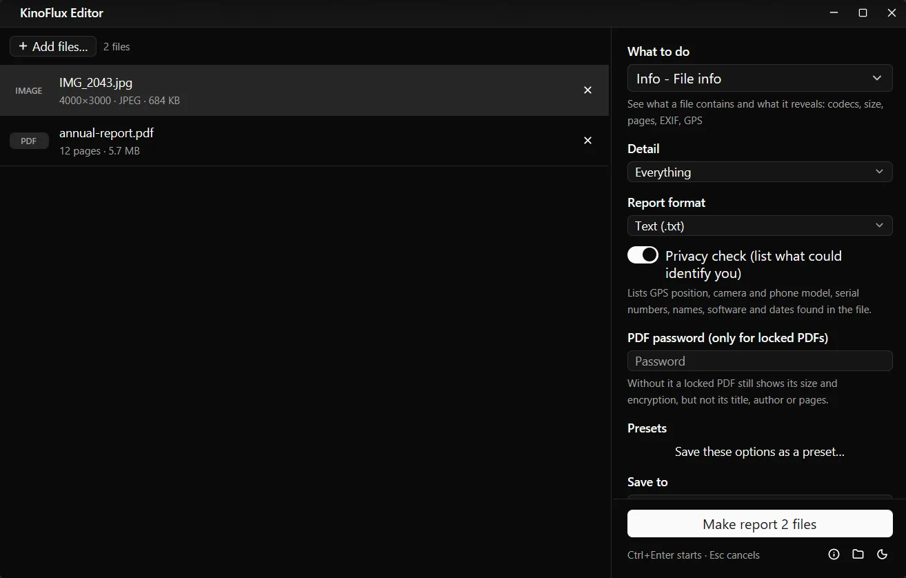 Info - File info with a photo and a PDF in the list. Detail Everything, Report format Text (.txt), Privacy check on.